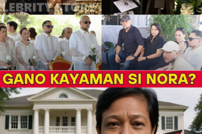The Hidden Wealth of Nora Aunor: A Mansion in Bicol, Vast Lands, and a Secret Vault of Riches—What the Superstar Quietly Left Behind /dn