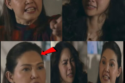 Maricel Soriano’s speech during lunch with Kim Chiu “offends” netizens/hi