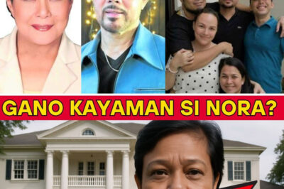 The Hidden Wealth of Nora Aunor: A Mansion in Bicol, Vast Lands, and a Secret Vault of Riches—What the Superstar Quietly Left Behind/hi